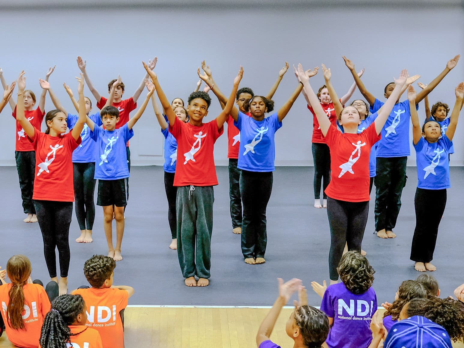 Advanced Teams at Summer Institute